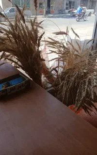 خریدار گندم