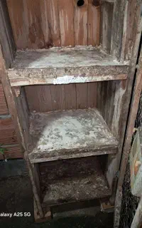 جفتگاه کفتر
