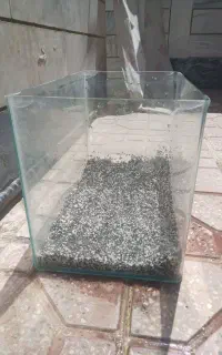 آکواریم