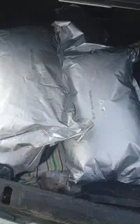 قهوه کلاسیک دله شرطی قیمت عمده