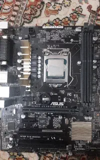 h81.v3 asus