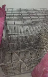 قفس