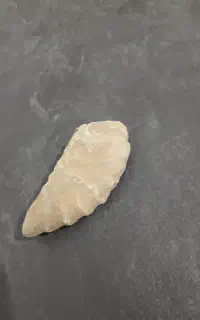 فسیل صدف