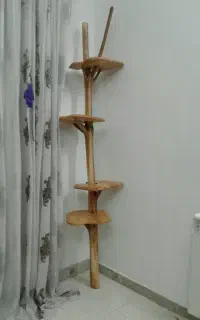 استند درخت طبیعی