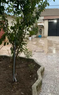 اجاره روزانه ویلا مستقل با امکانات رفاهی لاهیجان