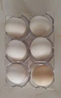 تخم مرغ بومی