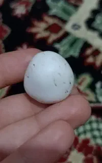 سنگ الماس آسیاب