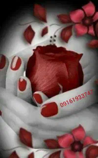 09161933747