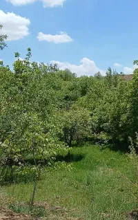 سیمکارت 912 کد 7