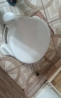 توالت فرنگی