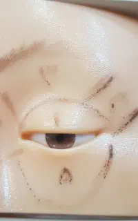 آموزش تمام لاین های زیبایی با مدرک فنی حرفه ای