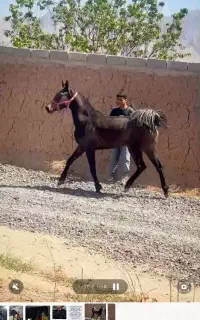 کره مادیون کره ای از طوفان کیانی