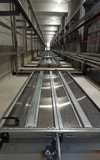 استخدام کمک نصاب آسانسور