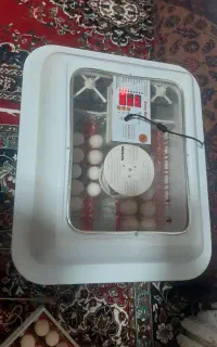 ۹۶ تایی دستگاه جوجه کشی