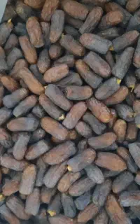 خرمای پیارم درجه یک