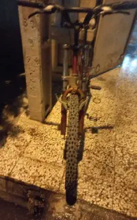 دوچرخه