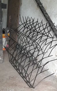 حفاظ شاخ گوزنی