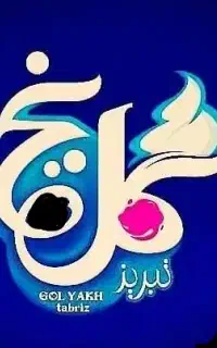 راننده پایه یک