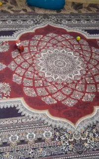 روفرشی ها تازه وشیک