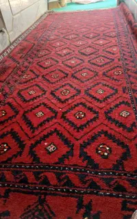 قیچی درخت بری
