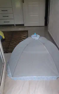 پشه بند