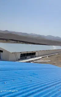 اجرای سوله خرپا مرغداری و