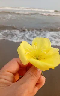 طبیعت گردی بانوان نیشابور