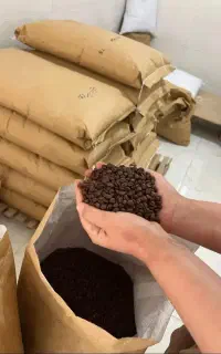 فروش عمده دان قهوه