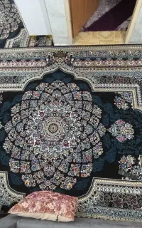 سلام دو عدد فرش ۱۲ متری ۷۰۰ شانه در حد نو