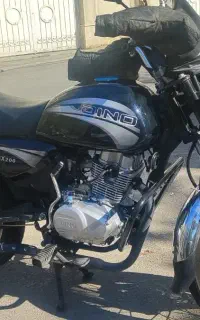 دینو سالم مدل ۱۴۰۴