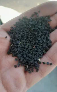 سیاه توم پیاز دستی