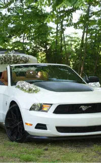 اجاره فورد موستانگ کروک