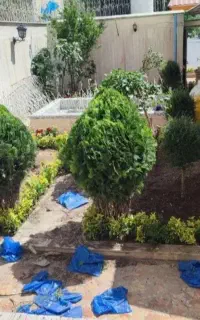 خدمات باغبانی تعویض خاک گلدون کاشت گل  باغبان