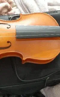 ویالون ویولن