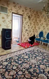 فرش