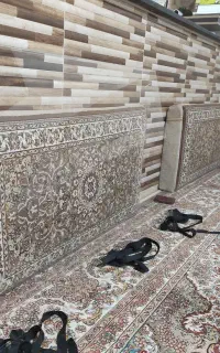 محافظ صفحه تلویزیون