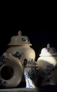 ست جینجرجار