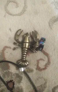 یک عددگردن بند وانگشترنوهستند