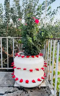 فروش گلدان نشکن  ،