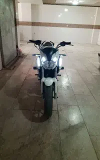 دینو z2
