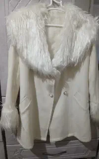 پالتو