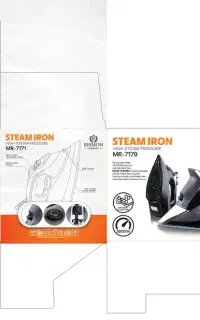 اتو بخار ریسمون ۳۰۰۰وات