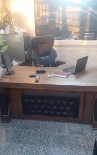 منشی خانم