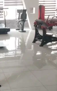 باشگاه بدنسازی و ایروبیک رویین تن غرب