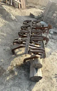 شخم گندمی
