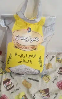برمج هولوسن
