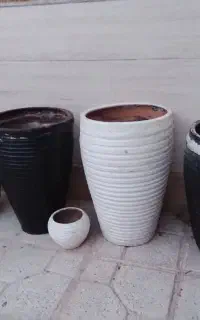 تلفن وگل دان