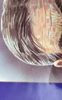 کتاب ۳ جلدی استاد شهریار
