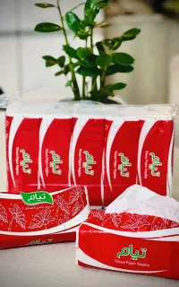 دستمال کاغذی اقتصادی