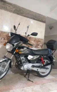 hlx 97